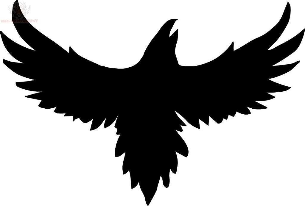 Il corvo superbo