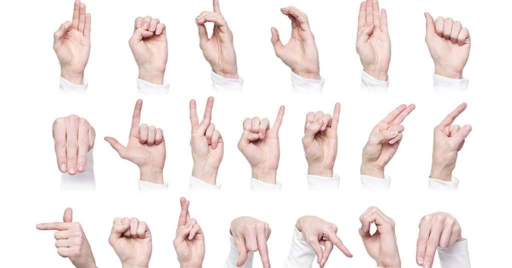 lingua dei segni