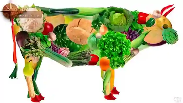 Vegetariani e vegani